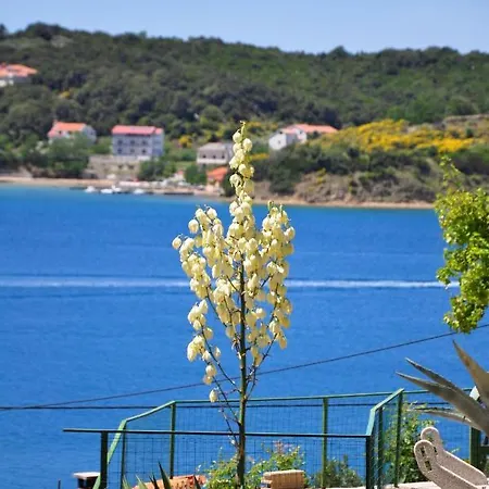 Appartement By The Sea - Gornja, Rab - 5055 Supetarska Draga