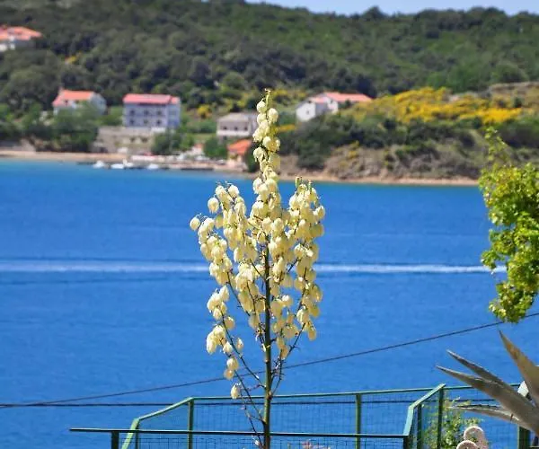 Διαμέρισμα By The Sea - Gornja, Rab - 5055 Supetarska Draga